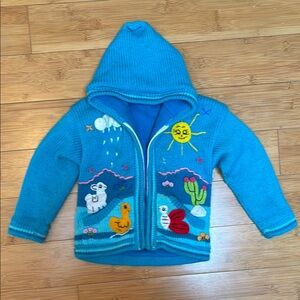 Adorable Colorful Embroidered Children's Hoodie, size 2T